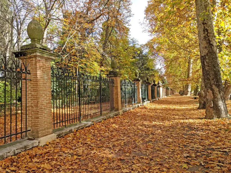 Calle de la Reina Arantour