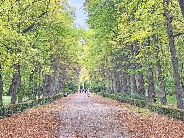 Jardines del Príncipe Arantour