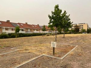 Espacio de parque de Calle Tarraco, La Montaña