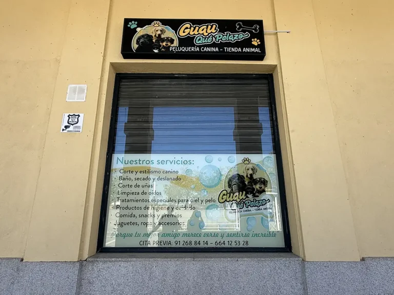 Guau que Pelazo Barrio La Montaña